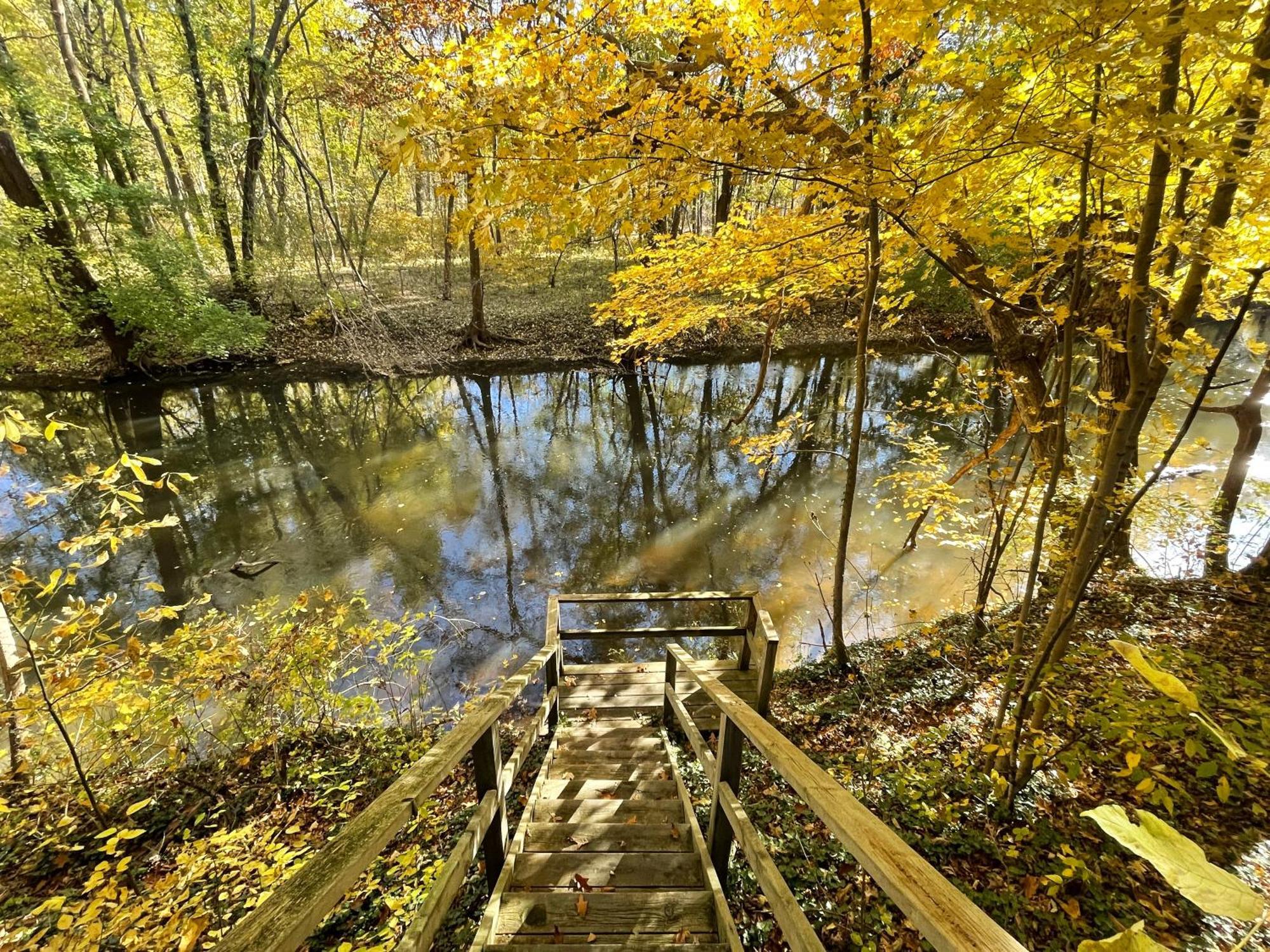 Goldberry Woods- A Modern Farm Resort Union Pier Exteriör bild
